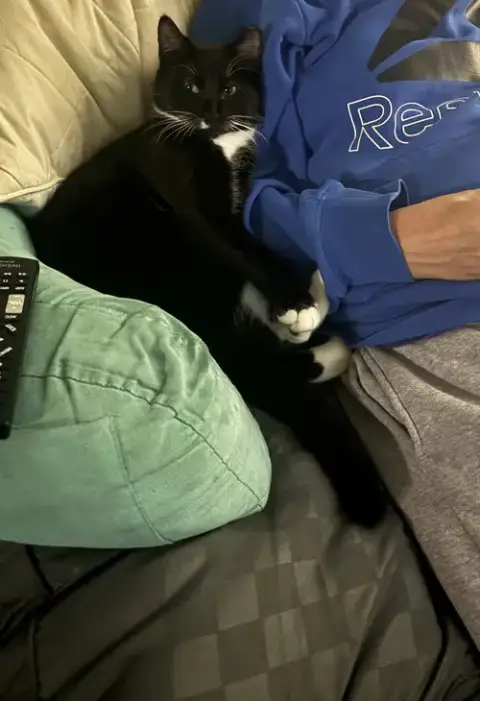Shamu