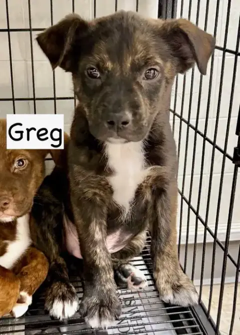 Greg photo 3
