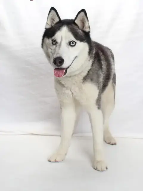 Zeus