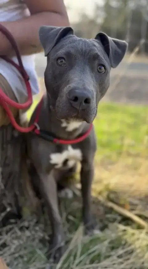 Jenny photo 3