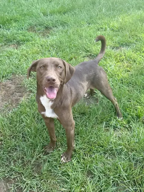 Tucker