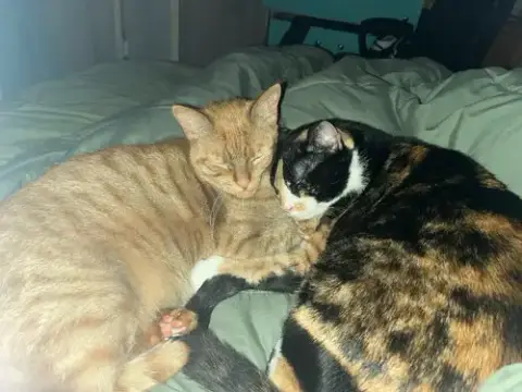 Nala & Squish photo 3