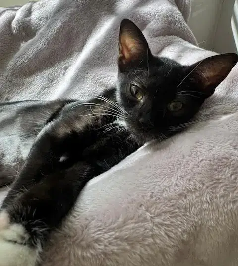 Rosalee