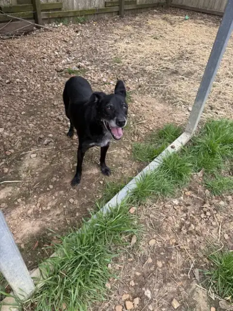 Wiggly photo 3
