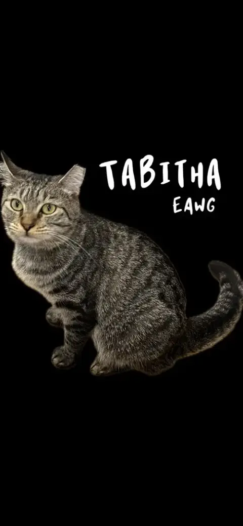 Tabitha photo 2