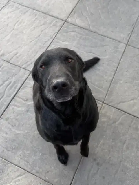 Tobey photo 2