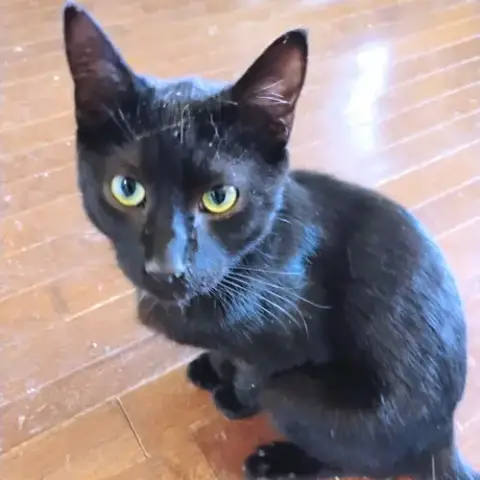 Theodore