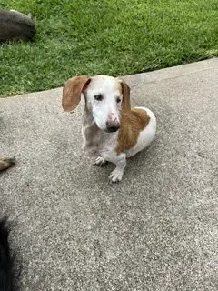 Baxter
