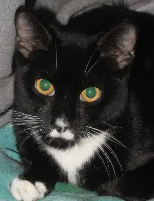 Charlie