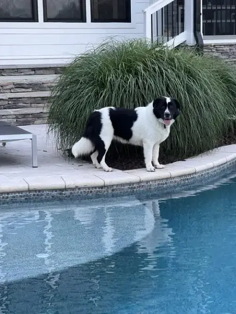 Sasha photo 3