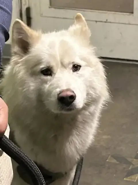 Kaiser