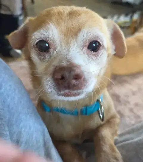 Toby photo 5