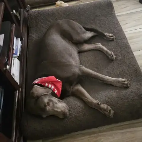 Chloe photo 3