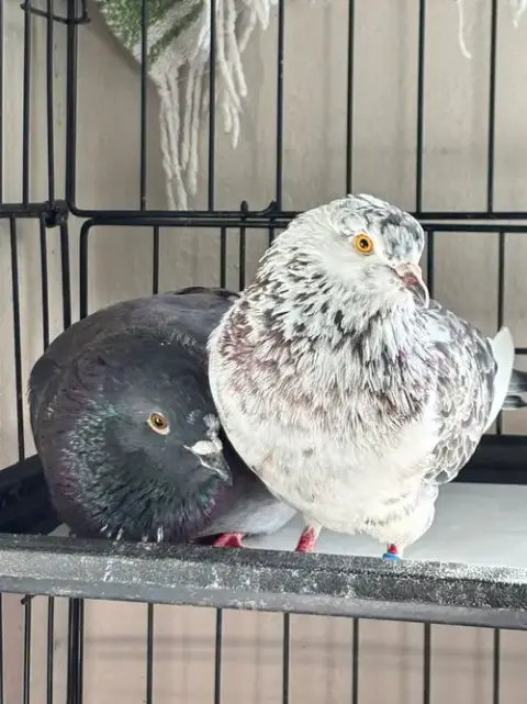 Bonk W/Buddy Bighead