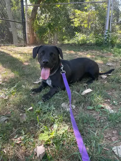 Tucker