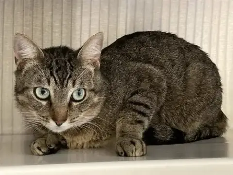 Walter