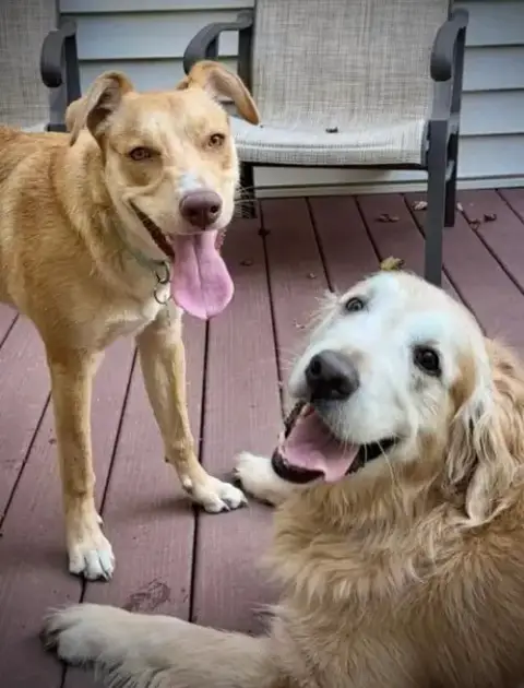 Junie photo 3
