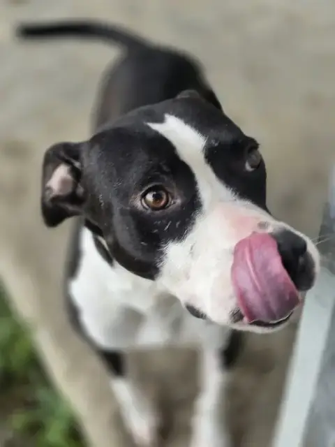 Grace photo 5