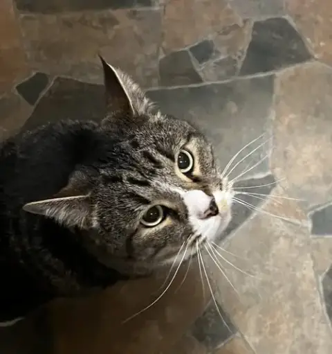 Milo