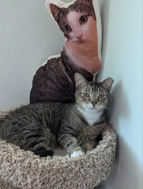 Buddy photo 2