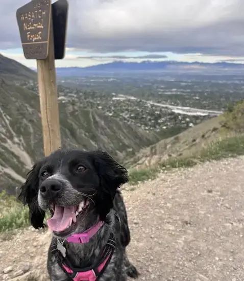 Ut/Millie photo 2