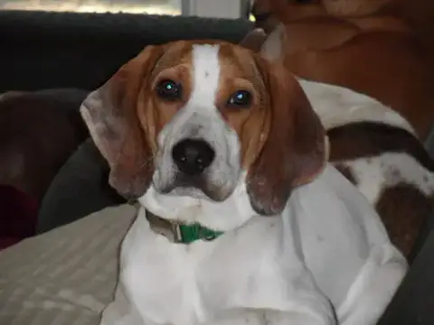 Mack photo 3