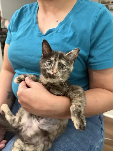 Mia