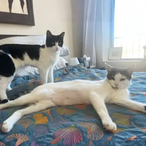 Pnina & Sirena