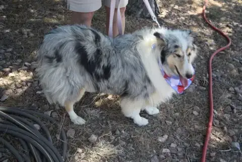 Laina photo 2