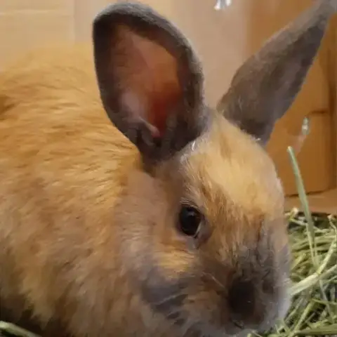 Jake photo 3