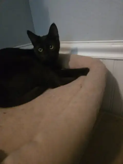 Salem photo 2