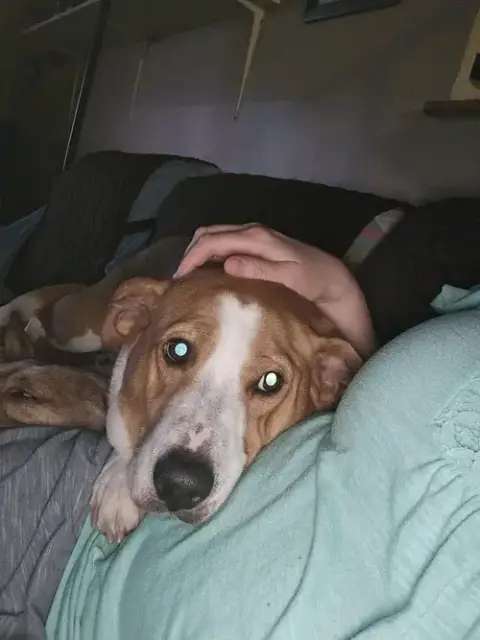 Abbey Mae photo 2