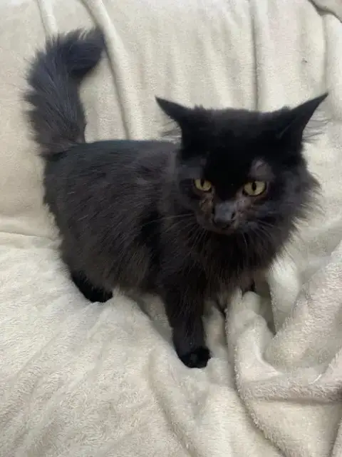 Precious