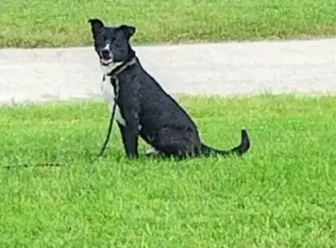 Chance photo 3