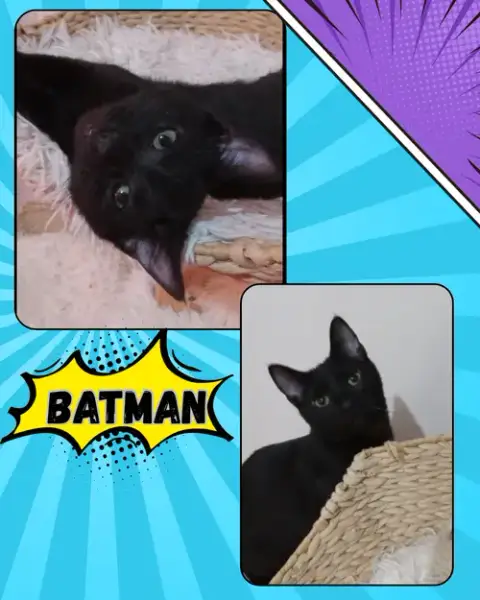Batman