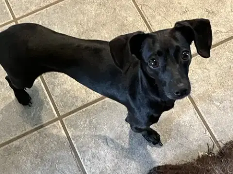 Bella photo 4