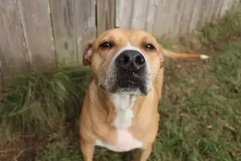 Cash
