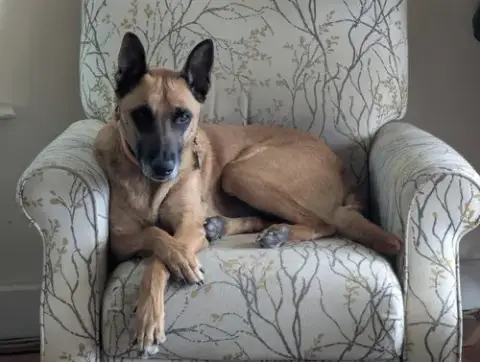 Roux photo 4