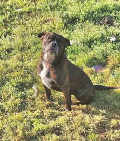 Emma photo 3