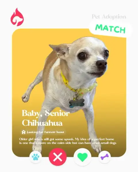Baby photo 4