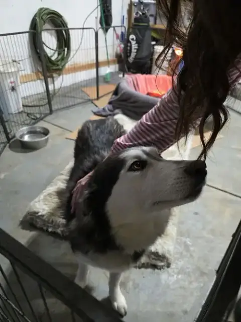 Sadie Mama photo 2
