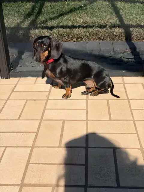 Max photo 2