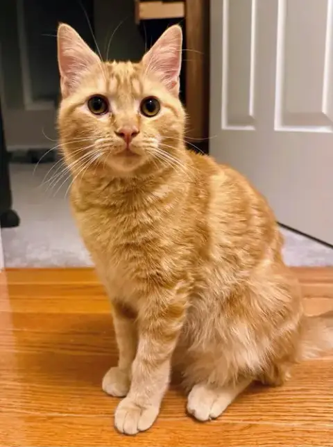 Beaker photo 2
