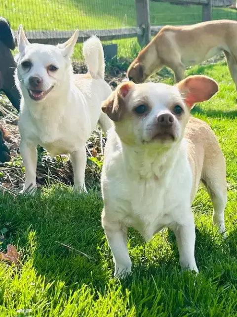 Casper And Tubbz