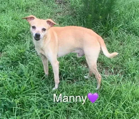 Manny photo 2
