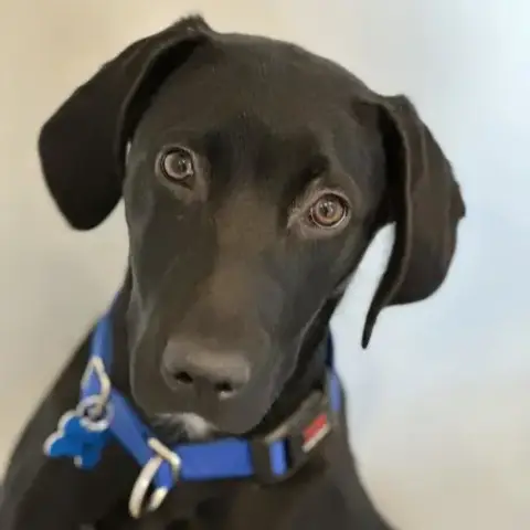 Finn photo 2