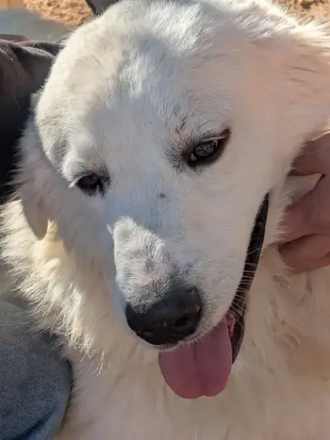 Yukon