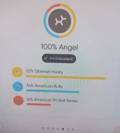 Angel- Just Missing Her Wings photo 3