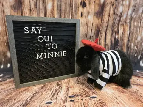 Minnie photo 2