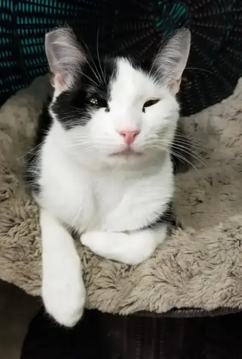 Mae Mae photo 2
